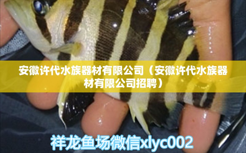 安徽許代水族器材有限公司（安徽許代水族器材有限公司招聘）