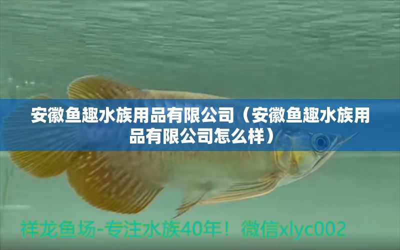 安徽魚趣水族用品有限公司（安徽魚趣水族用品有限公司怎么樣）