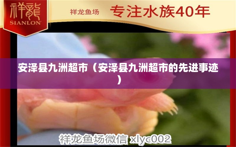 安澤縣九洲超市（安澤縣九洲超市的先進事跡） 全國水族館企業(yè)名錄