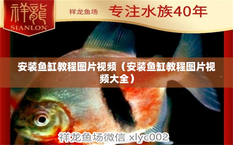 安裝魚(yú)缸教程圖片視頻（安裝魚(yú)缸教程圖片視頻大全）