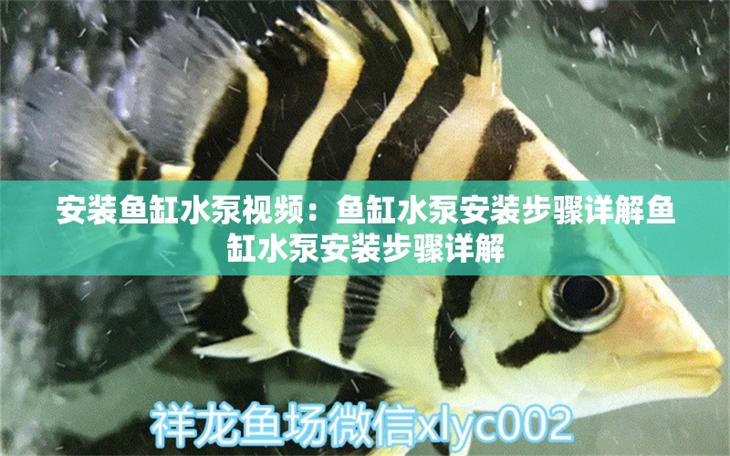 安裝魚缸水泵視頻：魚缸水泵安裝步驟詳解魚缸水泵安裝步驟詳解