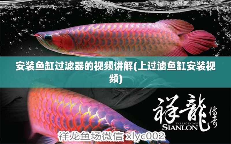 安裝魚缸過濾器的視頻講解(上過濾魚缸安裝視頻) 觀賞魚魚苗