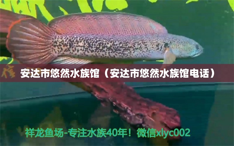 安達(dá)市悠然水族館（安達(dá)市悠然水族館電話）