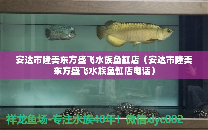 安達市隆美東方盛飛水族魚缸店（安達市隆美東方盛飛水族魚缸店電話）