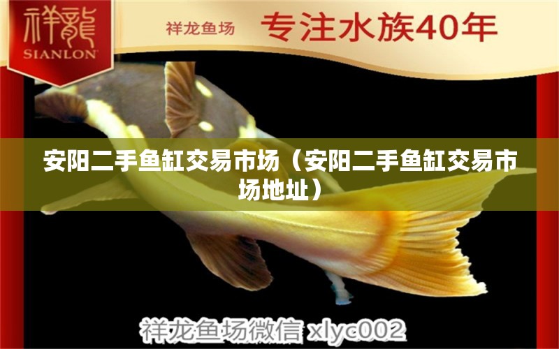 安陽(yáng)二手魚(yú)缸交易市場(chǎng)（安陽(yáng)二手魚(yú)缸交易市場(chǎng)地址） 七紋巨鯉魚(yú)