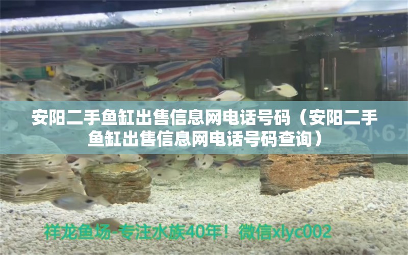 安陽二手魚缸出售信息網(wǎng)電話號(hào)碼（安陽二手魚缸出售信息網(wǎng)電話號(hào)碼查詢） 魚缸凈水劑