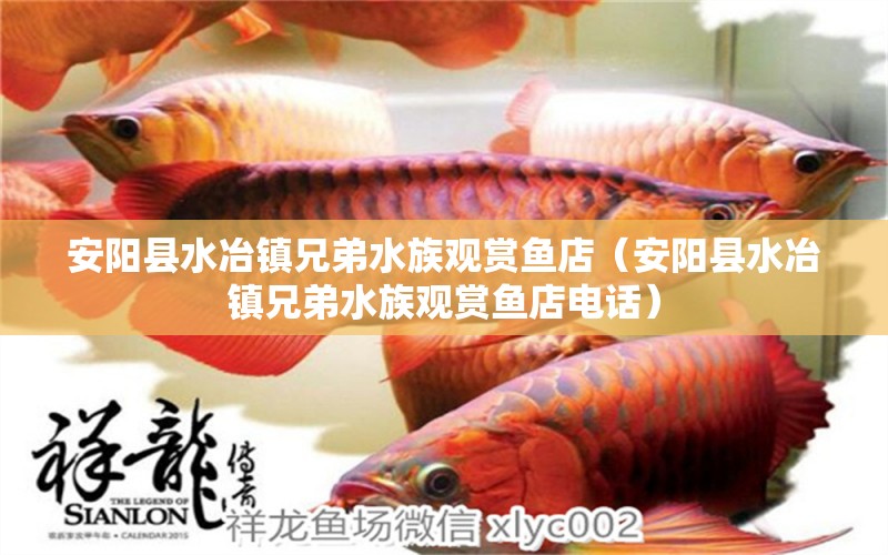 安陽縣水冶鎮(zhèn)兄弟水族觀賞魚店（安陽縣水冶鎮(zhèn)兄弟水族觀賞魚店電話） 全國水族館企業(yè)名錄