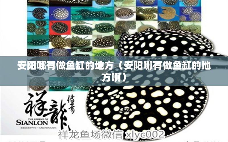 安陽哪有做魚缸的地方（安陽哪有做魚缸的地方?。?其他品牌魚缸