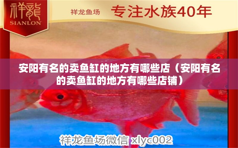 安陽(yáng)有名的賣(mài)魚(yú)缸的地方有哪些店（安陽(yáng)有名的賣(mài)魚(yú)缸的地方有哪些店鋪）