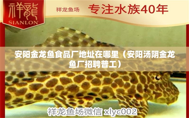 安陽(yáng)金龍魚食品廠地址在哪里（安陽(yáng)湯陰金龍魚廠招聘普工）