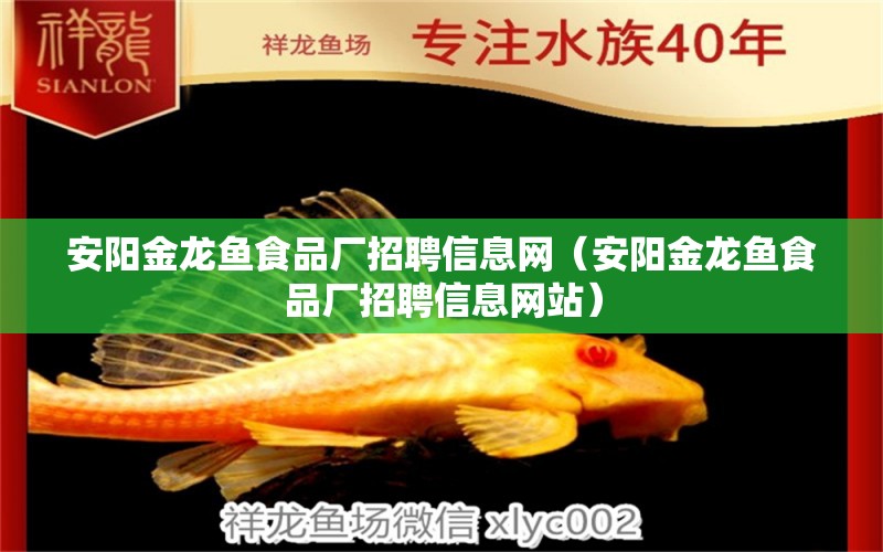 安陽金龍魚食品廠招聘信息網(wǎng)（安陽金龍魚食品廠招聘信息網(wǎng)站）