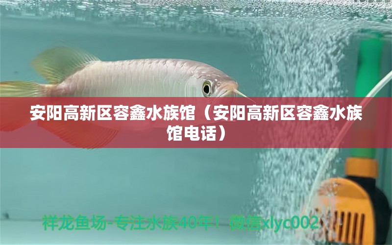 安陽(yáng)高新區(qū)容鑫水族館（安陽(yáng)高新區(qū)容鑫水族館電話）