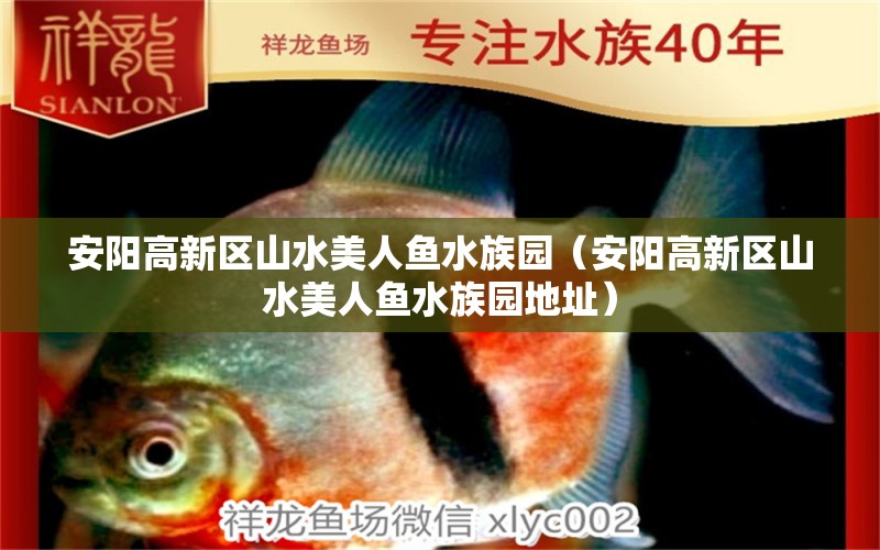 安陽(yáng)高新區(qū)山水美人魚(yú)水族園（安陽(yáng)高新區(qū)山水美人魚(yú)水族園地址）