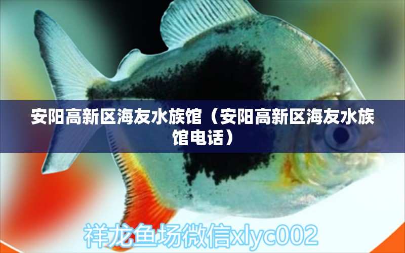 安陽(yáng)高新區(qū)海友水族館（安陽(yáng)高新區(qū)海友水族館電話）