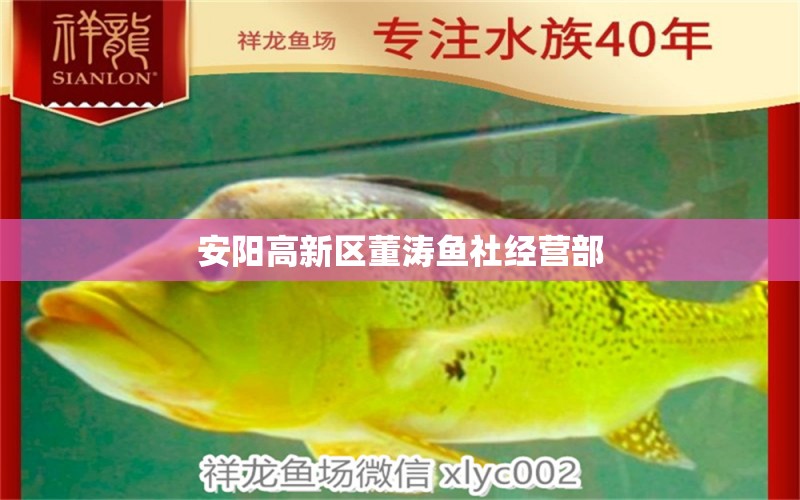 安陽高新區(qū)董濤魚社經(jīng)營部