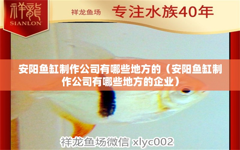 安陽魚缸制作公司有哪些地方的（安陽魚缸制作公司有哪些地方的企業(yè)） 祥龍水族醫(yī)院