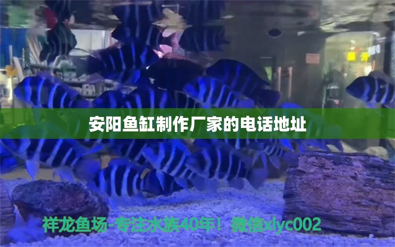 安陽(yáng)魚缸制作廠家的電話地址