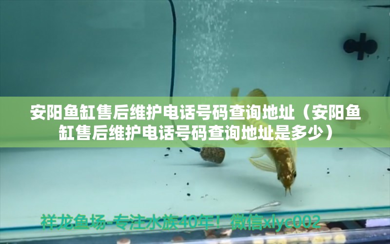 安陽魚缸售后維護(hù)電話號(hào)碼查詢地址（安陽魚缸售后維護(hù)電話號(hào)碼查詢地址是多少）