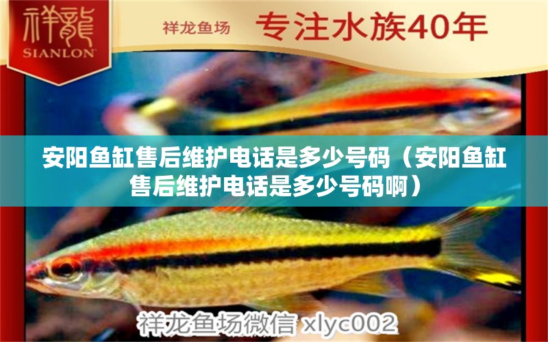 安陽魚缸售后維護(hù)電話是多少號(hào)碼（安陽魚缸售后維護(hù)電話是多少號(hào)碼?。? title=