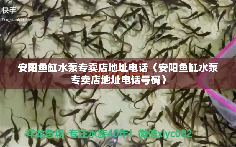 安陽魚缸水泵專賣店地址電話（安陽魚缸水泵專賣店地址電話號碼） 魚缸水泵