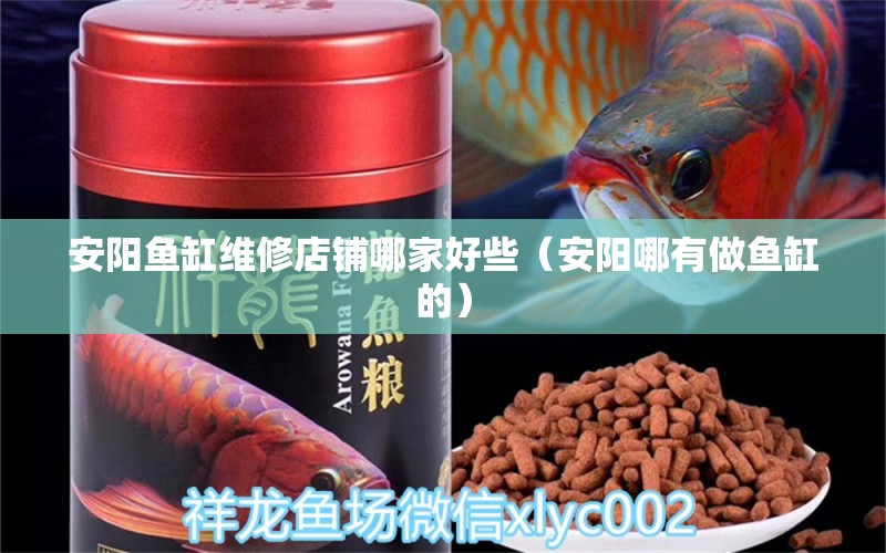 安陽魚缸維修店鋪哪家好些（安陽哪有做魚缸的）