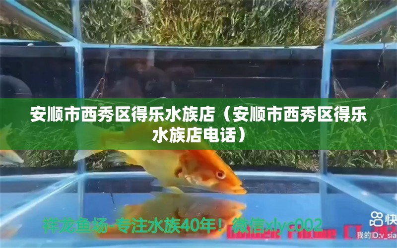 安順市西秀區(qū)得樂水族店（安順市西秀區(qū)得樂水族店電話） 全國水族館企業(yè)名錄