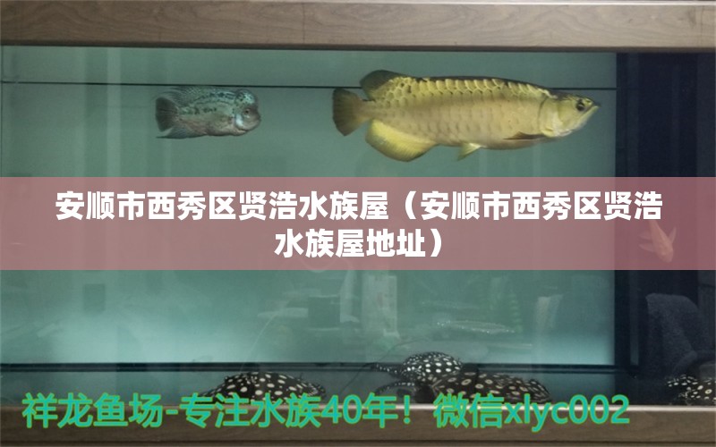 安順市西秀區(qū)賢浩水族屋（安順市西秀區(qū)賢浩水族屋地址） 全國水族館企業(yè)名錄