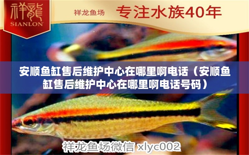 安順魚缸售后維護(hù)中心在哪里啊電話（安順魚缸售后維護(hù)中心在哪里啊電話號(hào)碼）