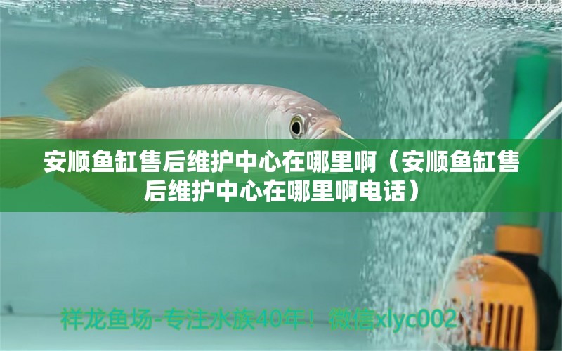 安順魚缸售后維護(hù)中心在哪里啊（安順魚缸售后維護(hù)中心在哪里啊電話）