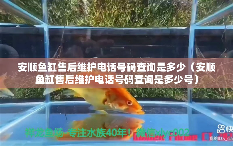 安順魚缸售后維護(hù)電話號(hào)碼查詢是多少（安順魚缸售后維護(hù)電話號(hào)碼查詢是多少號(hào)）