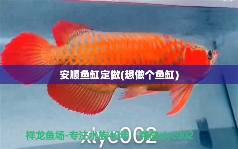 安順魚缸定做(想做個(gè)魚缸)