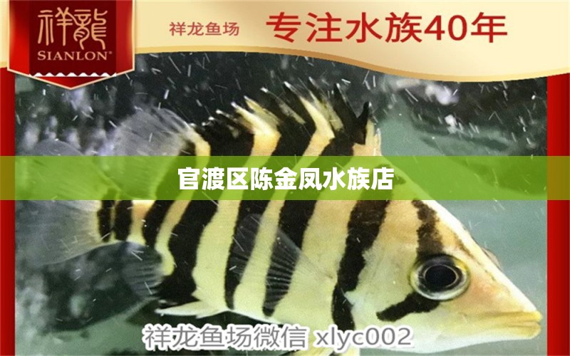 官渡區(qū)陳金鳳水族店