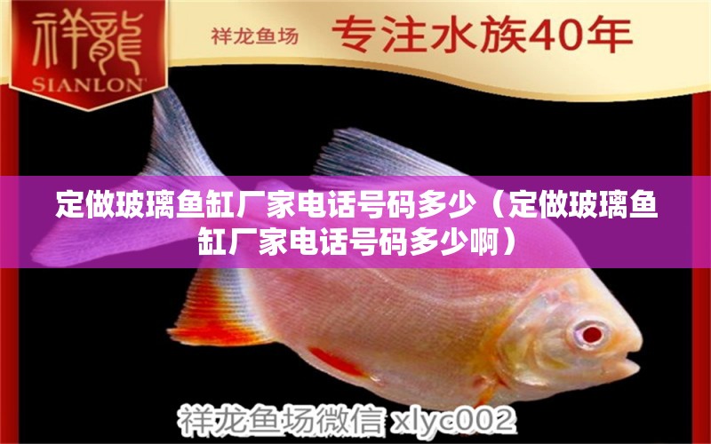 定做玻璃魚缸廠家電話號碼多少（定做玻璃魚缸廠家電話號碼多少?。? title=