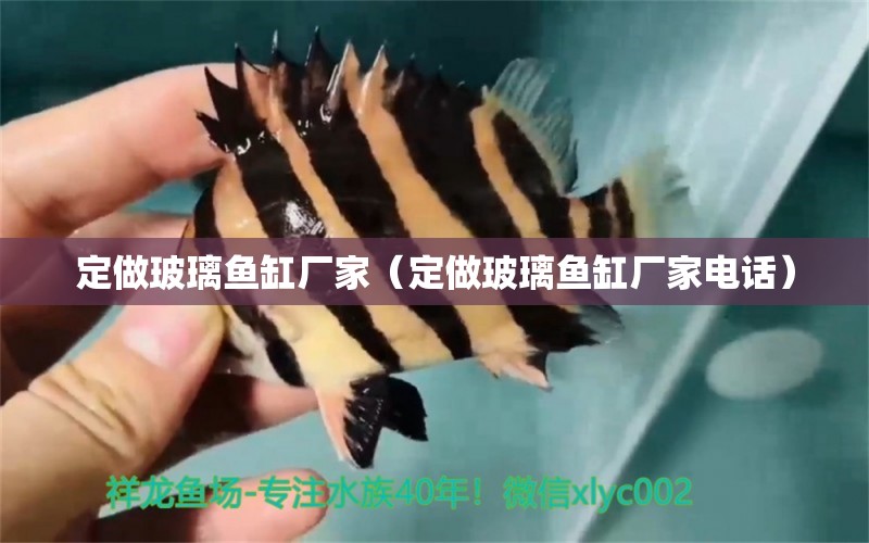 定做玻璃魚缸廠家（定做玻璃魚缸廠家電話）