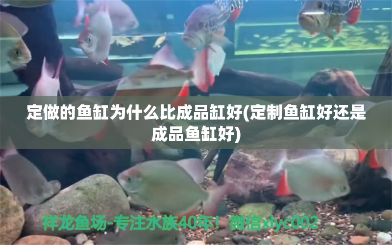 定做的魚缸為什么比成品缸好(定制魚缸好還是成品魚缸好) 溫控設(shè)備