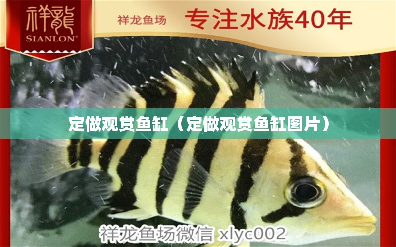 定做觀賞魚缸（定做觀賞魚缸圖片）