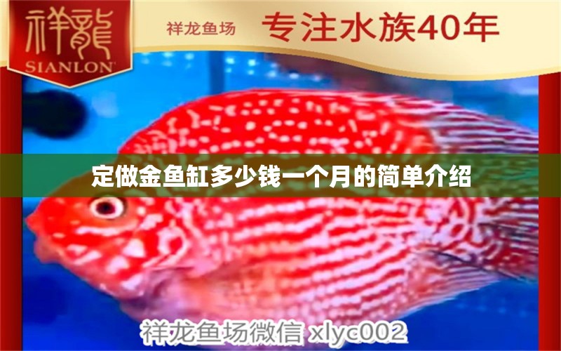 定做金魚缸多少錢一個(gè)月的簡(jiǎn)單介紹 大湖紅龍魚