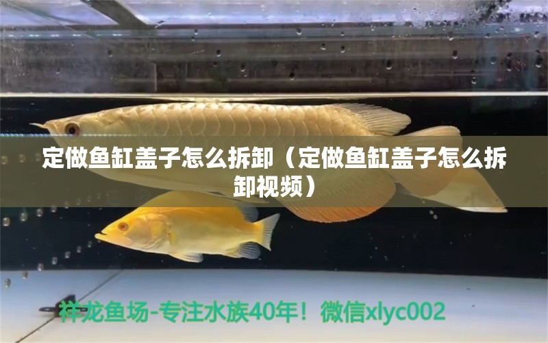 定做魚缸蓋子怎么拆卸（定做魚缸蓋子怎么拆卸視頻） 祥龍魚場