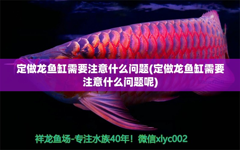 定做龍魚缸需要注意什么問題(定做龍魚缸需要注意什么問題呢) 黑金魟魚 第1張