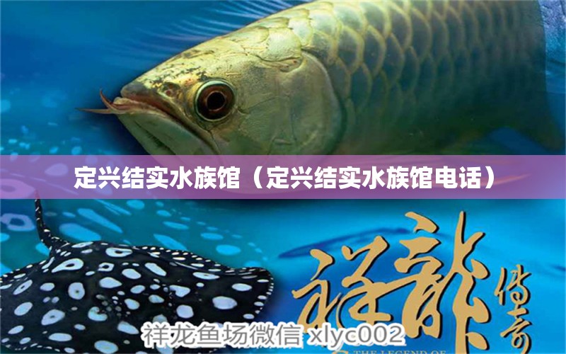 定興結(jié)實(shí)水族館（定興結(jié)實(shí)水族館電話）