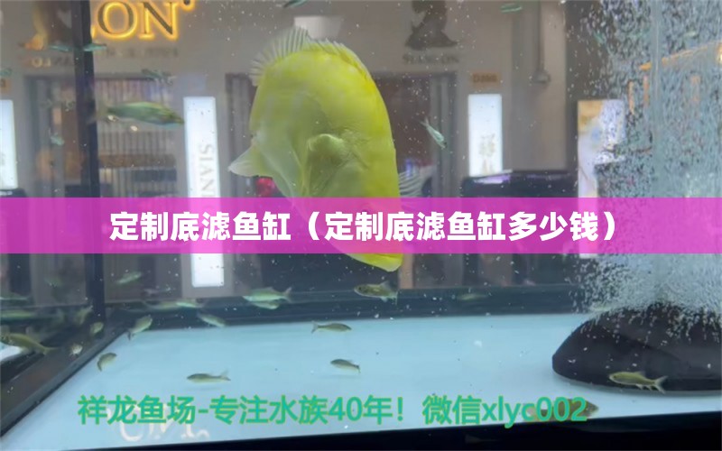 定制底濾魚缸（定制底濾魚缸多少錢）