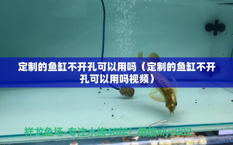 定制的魚缸不開孔可以用嗎（定制的魚缸不開孔可以用嗎視頻） 祥龍魚場