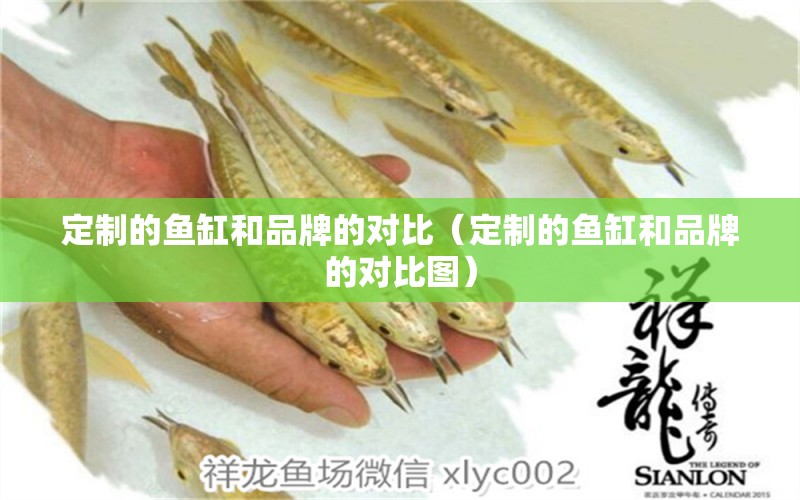 定制的魚缸和品牌的對(duì)比（定制的魚缸和品牌的對(duì)比圖） 其他品牌魚缸