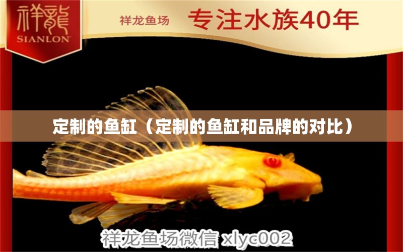 定制的魚(yú)缸（定制的魚(yú)缸和品牌的對(duì)比）