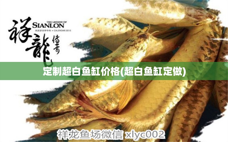 定制超白魚缸價格(超白魚缸定做) BD魟魚