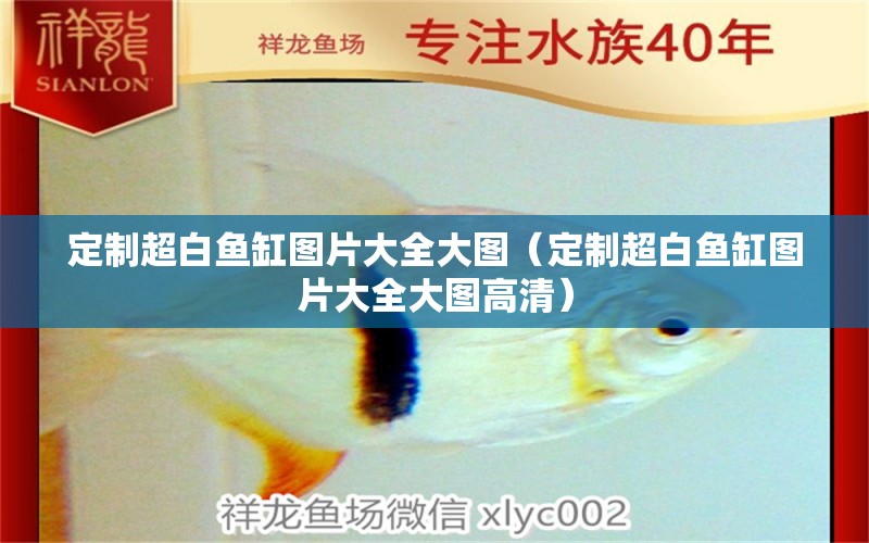 定制超白魚缸圖片大全大圖（定制超白魚缸圖片大全大圖高清）