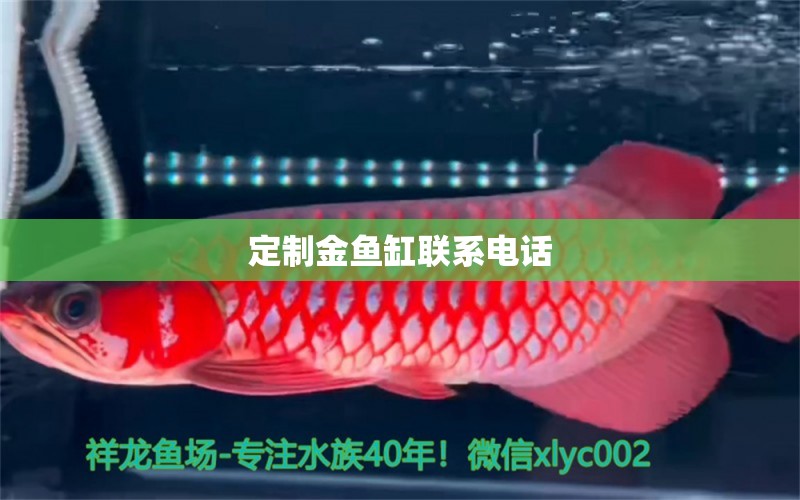 定制金魚(yú)缸聯(lián)系電話