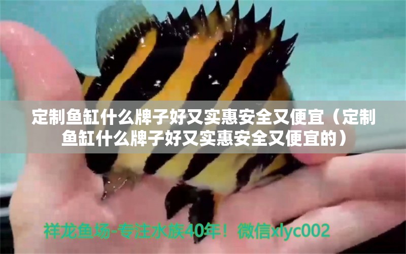 定制魚缸什么牌子好又實(shí)惠安全又便宜（定制魚缸什么牌子好又實(shí)惠安全又便宜的）