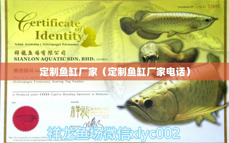 定制魚缸廠家（定制魚缸廠家電話） 其他品牌魚缸