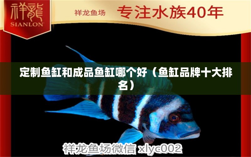 定制魚缸和成品魚缸哪個(gè)好（魚缸品牌十大排名）